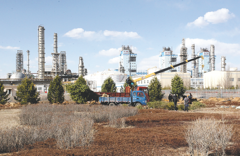 汉堡队比赛图片